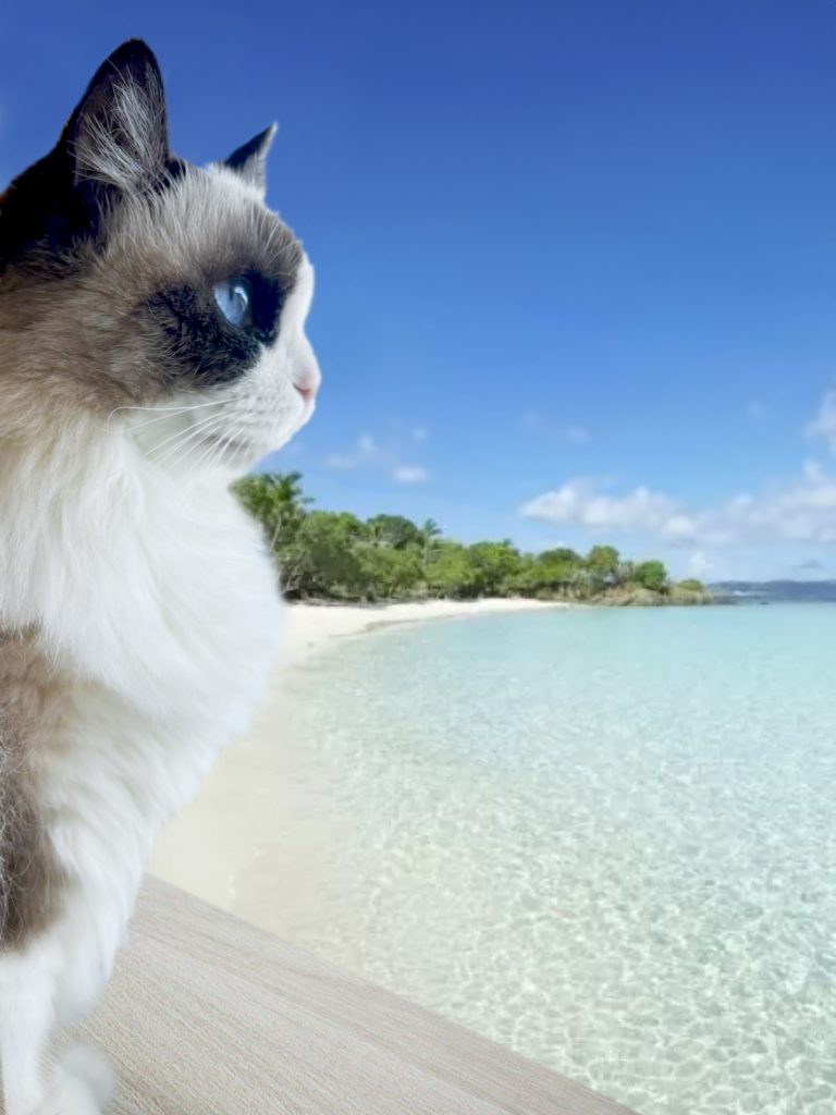 #オトナみらい館　フォトレタッチ講座 vol.2